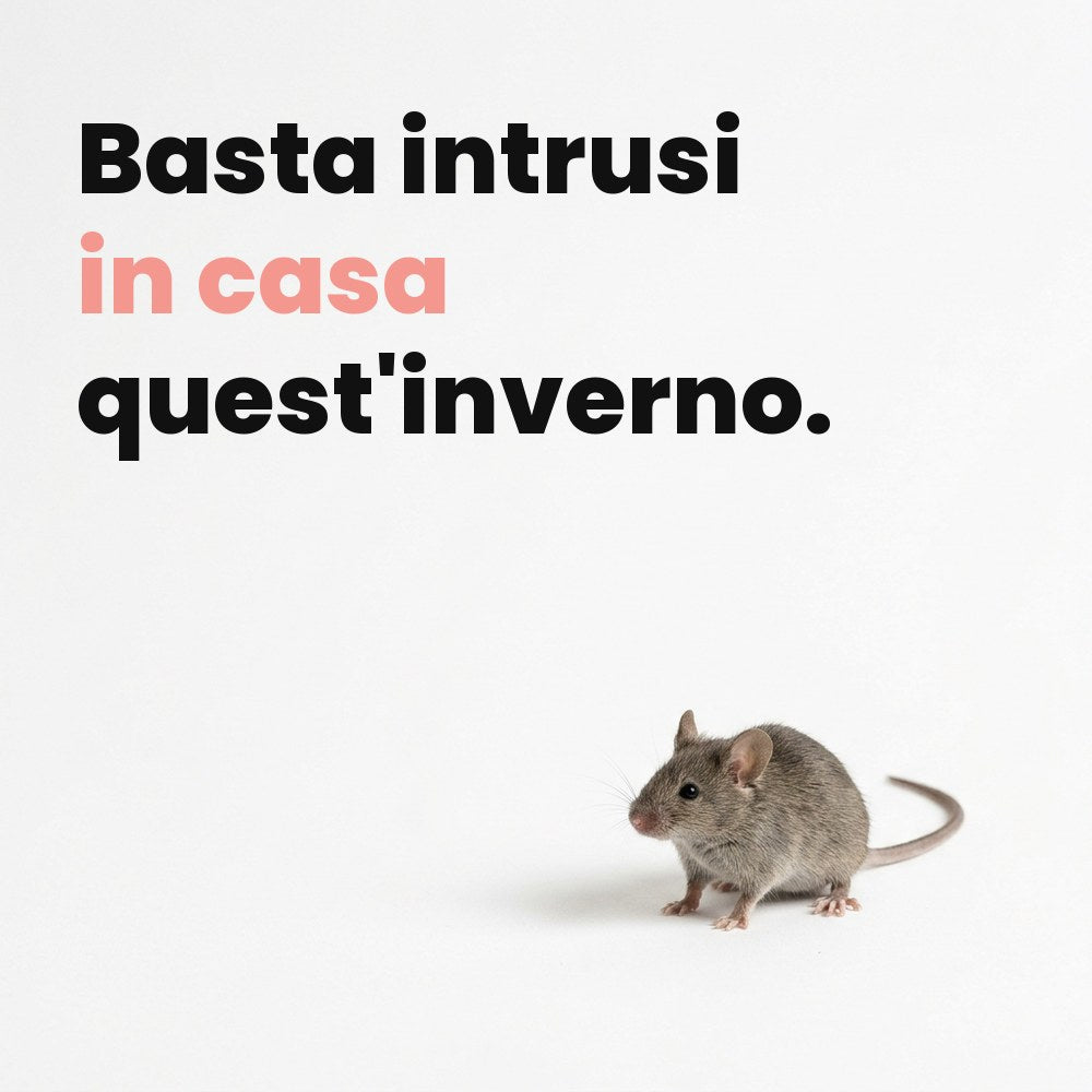 1. I topi entrano già con le prime notti fresche