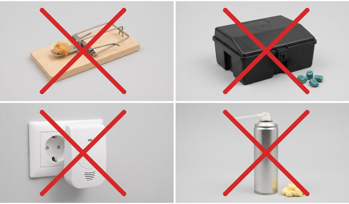 Trappole, esche, ultrasuoni e schiuma espandente