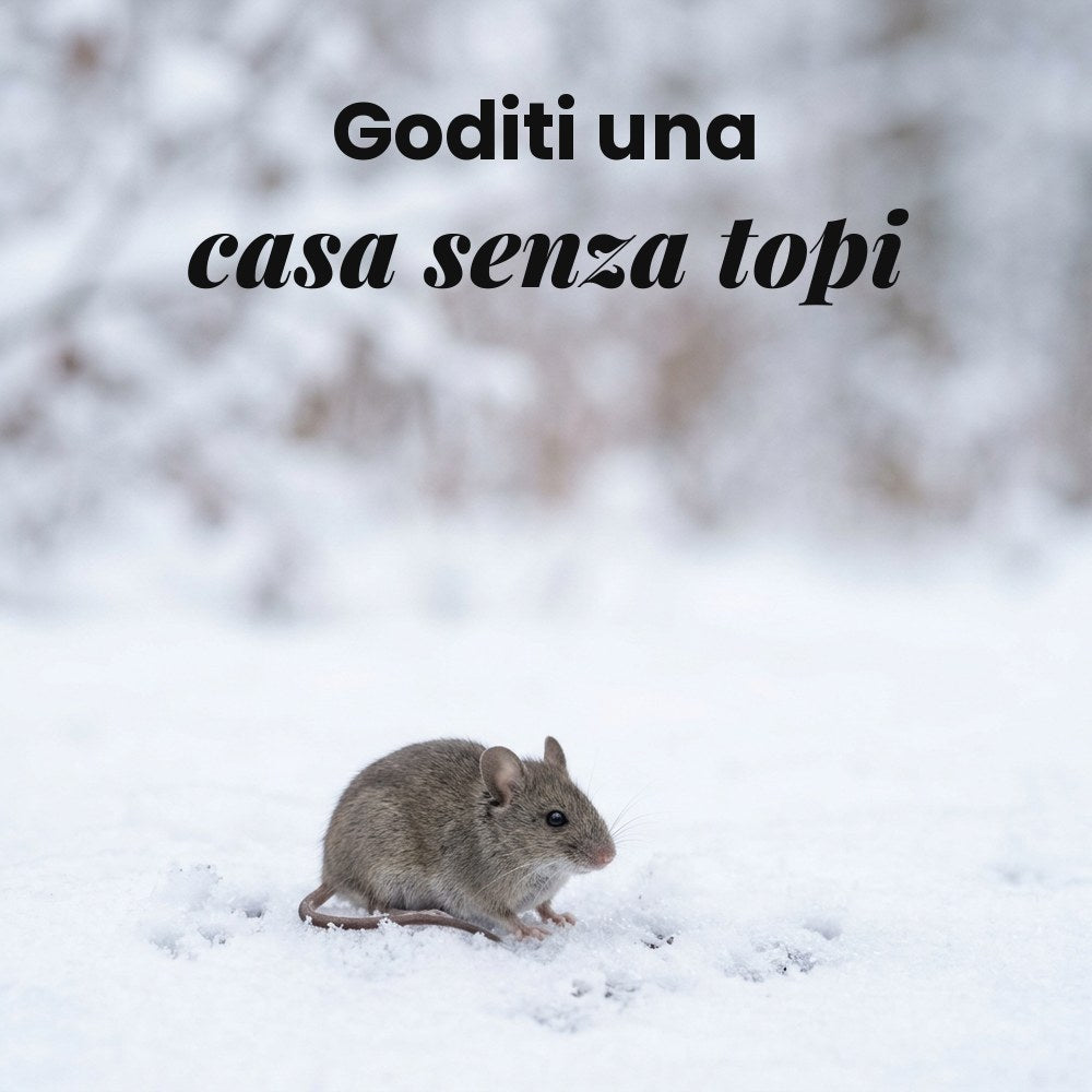 3. Niente veleno in una casa dove si vive